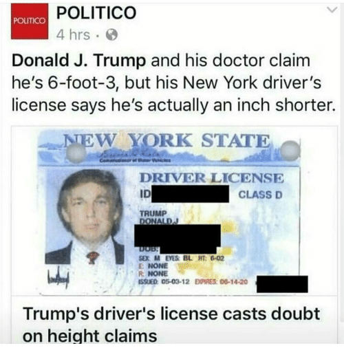 Florida drivers license class d